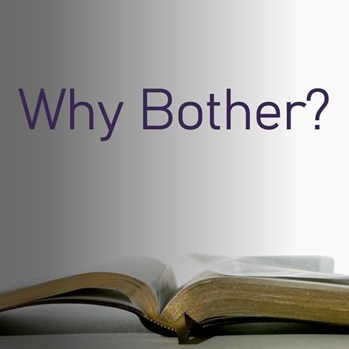 Why Bother? Podcast Por arte de portada