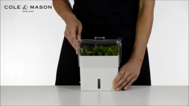 Cole & Mason H105159 Tealby Fresh Cut Herb Keeper, Herb Pot/Storage/Herb Saver/Box, Acrylic, Includes Removable Dividers, 2 Year Guarantee,White/Clear (H) 230mm x (W) 185mm x (D) 120mm