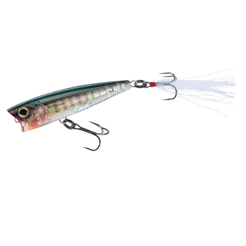 Yo-Zuri 3DB Popper (F) 75MM 3