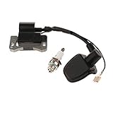 Paket inklusive 1 Stück Zündspule +1 Stück L7T Zündkerze.