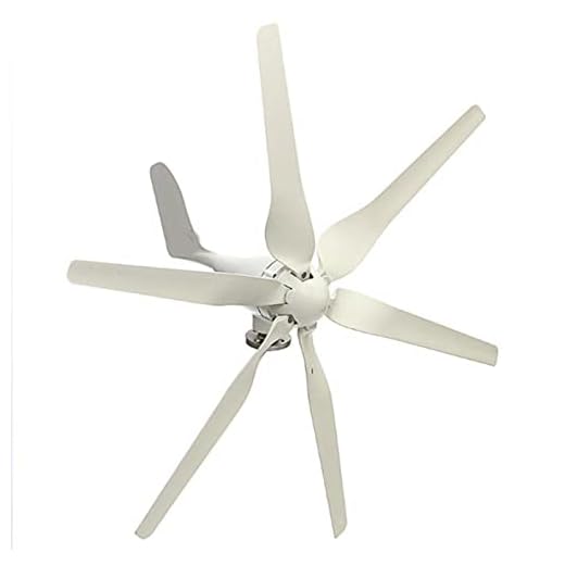 Gratis energi Små vindkraftverk, 6000W DC 12V 24V 48V 6 BLADES med MPPT-kontroller Låghastighet Vindturbin för hemmabruk (vit),12v