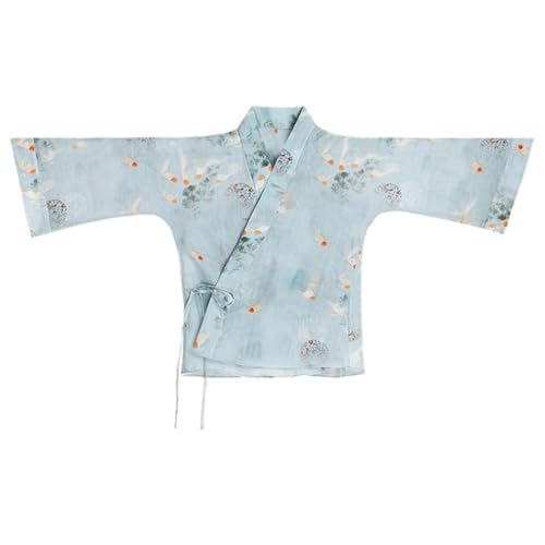 Hanfu 178 pour femme à col en V : finies les robes d'été sans forme
