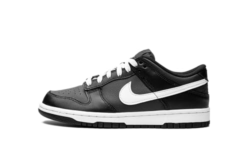 Nike Dunk Low (Big Kid)