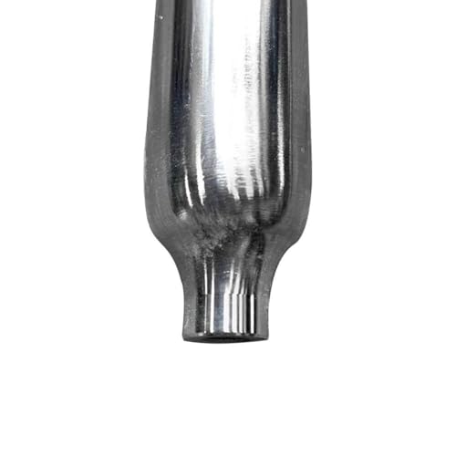 Échantillonneur de Liquide, en Acier Inoxydable 304, extractible pour écoles, laboratoires, instituts de Recherche Scientifique et échantillonnage de liquides industriels (0,5 m (1,6 pi))