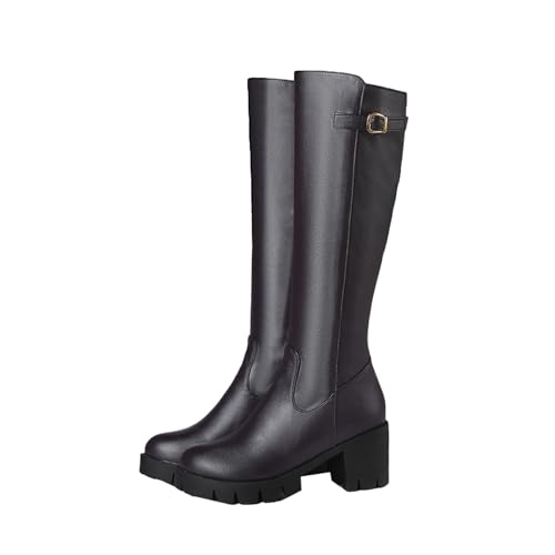 [Z_ `V] Ou[c fB[X WbL[u[c nCq[ r h ʊw ʋ 6cm q[ ₷ 22.5cm JWA tH~ i TChWbv gAbv ɂȂ  GWjA ubN xg n l