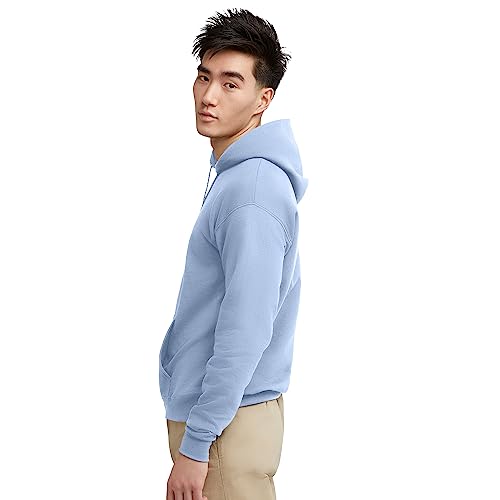 Hanes mens Pullover Ecosmart Hooded Sweatshirt P170 Hoody (pack of 1)