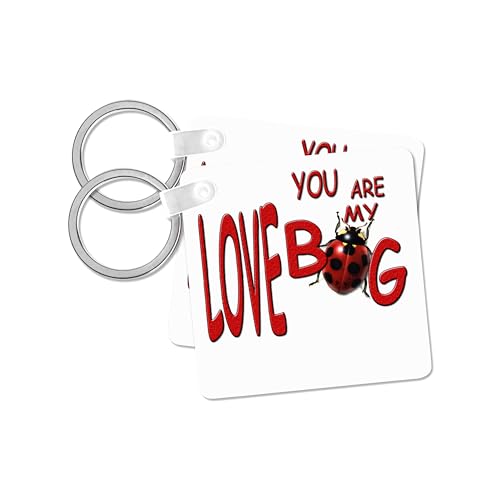 3dRose, You are My Love Bug, set of 2 Key Chains