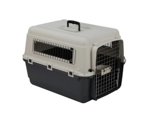 Amazon | SAVIC アンデス M 【L70】 SV3279 | SAVIC(サヴィッチ Amazon | SAVIC アンデス M 【L70】 SV3279 | SAVIC(サヴィッチ