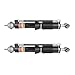 AP02 Compatible with Mercedes S-Class W140 S320 S500 1992-1999 Hydraulic Shock Struts Rear Left & Right 1403209313