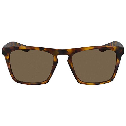 Sunglasses DRAGON DR DRAC LL 228 MTT TORTOISE PURPL/LL BROWN2