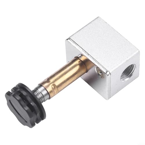 Luftpumpen-Kompressor-Magnetventil, Abschaltventil, Abgasdämpfer, Ölguss-Aluminium, 220 V, kompatibles Luftkompressor-Zubehör (A)
