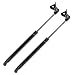 Maxpow 4551L 4551R Compatible With 1996-1997 Lexus LX450 1990-1997 Toyota Land Cruiser Front Hood Lift Support Struts