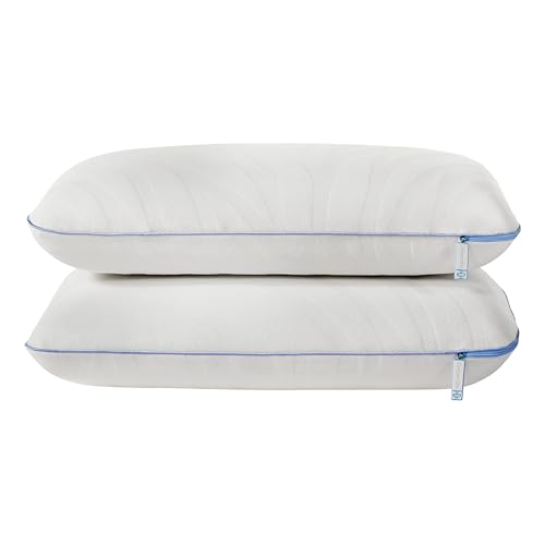 Sealy Dreamlife Queen Size Memory Foam Cooling Pillow with Surface Guard Technology, Removable Machine-Washable Cover, 1 Year Limited Warranty, White (2 Pack)