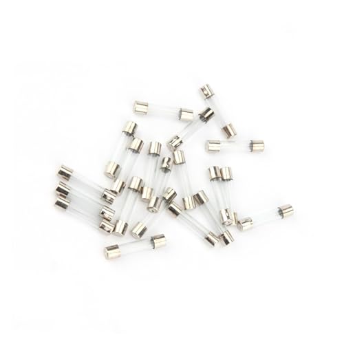 Kit de 20 Fusibles de Vidrio de Acción Rápida 6x30mm 250V 6A miniatura 1