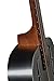 Regal Duolian Resonator Polychrome Guitar RC-1