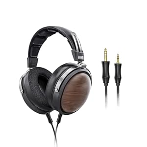 FiiO FT1 Hi-Fi Over-Ear Kopfhörer