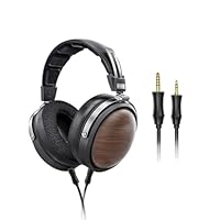 Amazon.co.jp: FiiO FT1 32Ω 大型ダイナミックドライバーヘッドフォン