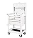 30 in. 5 Drawer Mechanic's Tool Cart Cabinet - White