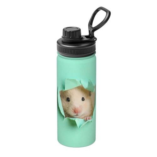 ���� �n���X�^�[ �������� �O���[�� �� �A�j�� �^��f�M �ۉ� �ۗ� �X�|�[�c�{�g�� �l�C �X�e�����X�{�g�� �X�|�[�c�����Ή� �R��Ȃ� ������530ml �j�̎q ���̎q ������� ��l �q�� �O�b�Y �L�����N�^�[ �G�� �v���[���g