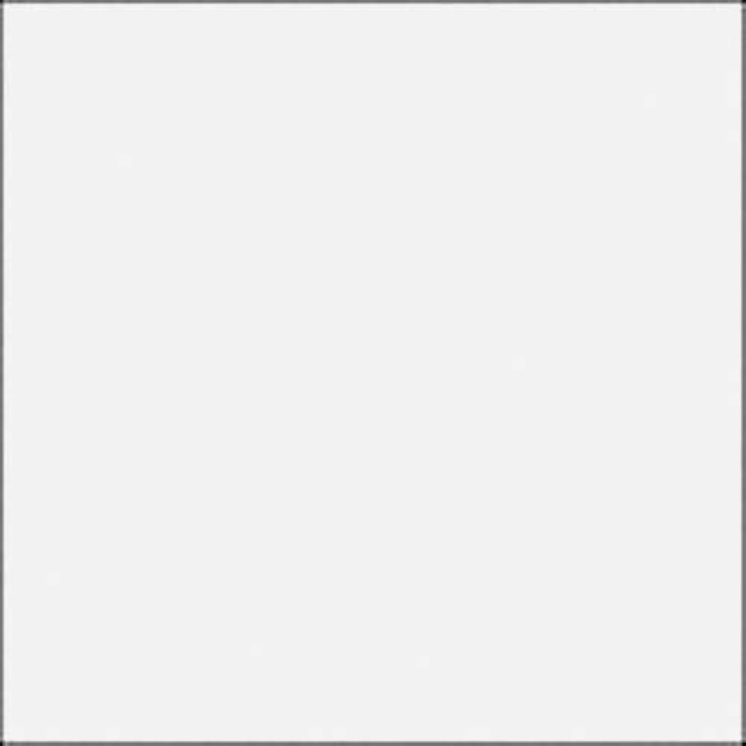 Rosco E-Colour #250 1/2 White Diffusion (21x24 Sheet)