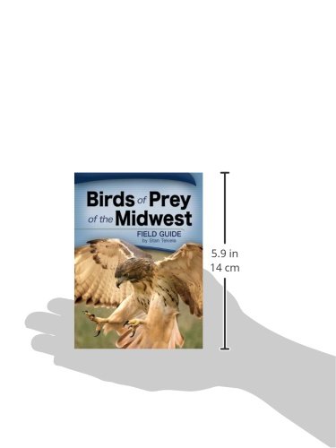 Birds Of Prey Of The Midwest Field Guide (Bird Identification Guides) #TOP2