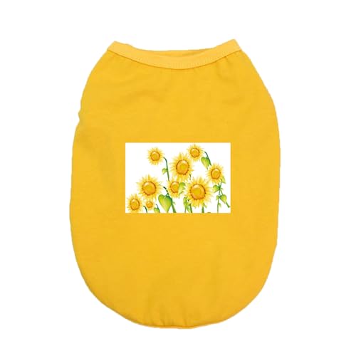 [XANPYO] ybg   ĕ  ʋC L ^ ^ Ȑ Ȃ  킢 X|[c UoEFA tĕ hbOEFA xXg CG[ Ăh Eѕی t@bV ƒ 4XL U