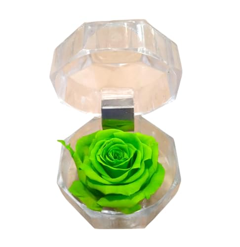 Genérico Rosa Eterna Verde en joyero. Regalo Original. Rosa Verde preservada. Rosa Verde Natural preservada. Regalos Enamorados, cumpleaños, Aniversario, Dia de la Madre. Flores preservadas.