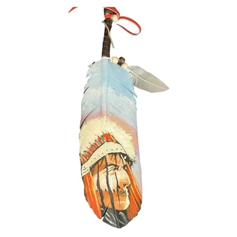 Roger Enterprises Feather Painting Native American Chief on Large Turkey Feather Cover