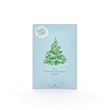 Fichtensaatgut "Weihnachtsbaum 2030" von "Die Stadtgärtner" | Saatgut zum Pflanzen einer Fichte | Tannenbaum für den Garten | Kleines Geschenk für Freunde, Kollegen, Kinder und Co.