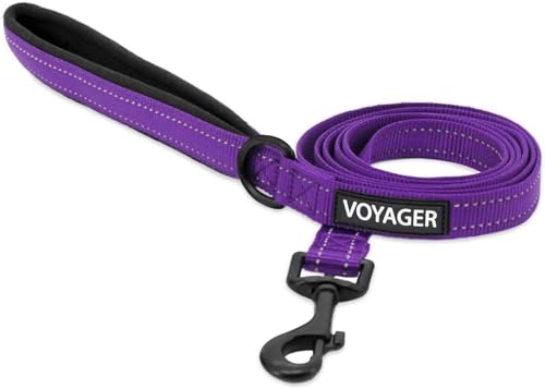 Best Pet Supplies Voyager Reflective Dog Leash or Collar with Neoprene Handle for Small Medium and Large Breed Puppies Cute and Heavy Duty for Walking Running and Training - Purple (Leash) S