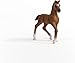 Schleich Horse Club Realistic Oldenburger Foal Baby Horse Figurine - Detailed Horse Toy, Durable for Education and Imaginative Play for Girls and Boys, Gift for Kids Ages 5+