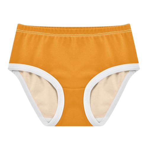 Brown Gradient Girl Panties, 2t Underwear Girls - Main Image