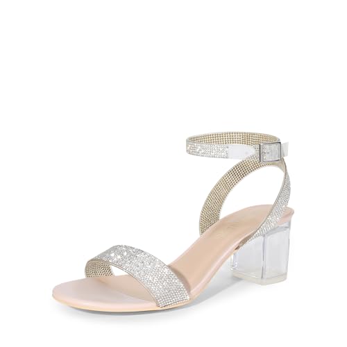 DREAM PAIRS Women's Open Toe Ankle Strap Low Block Chunky Heels Sandals Party Dress Pumps Shoes