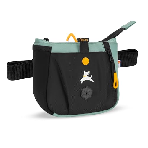 OllyDog Backcountry Day Bag | Dog Training Treat Pouch | Eco-Friendly Recycled Fabric Fanny Pack with Zipper Closure, Built-in Poop Bag Dispenser & Adjustable Waist Belt (Surf)