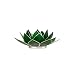 FindSomethingDifferent Lotus Chakra Candle Holder Capiz Shell Green Silver Trim