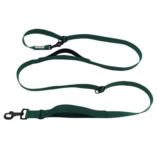 EGV - Correa multiposicion perro con doble asa de neopreno. Correa perro manos libres para usar como correa perro para correr - Correa perro larga de 2,50 metros de longitud. (Verde botella)