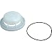 Pentair 08650-0079 Float Assembly with O-Ring Replacement Sta-Rite U-3 Pool and Spa Skimmer