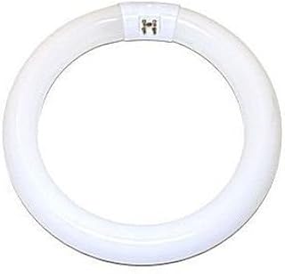 SYLVANIA (20148) FC8T9/CW/RS 22W T9 Circline Lamp 4200K Cool White