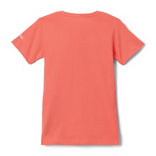 Image of Columbia Kids Mission Lake Short Sleeve Graphic Shirt (Little Kids /Big Kids)