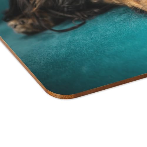 Set de table corgi en liège grand format lot de 4 napperons souples pour repas - 4