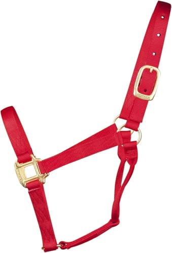 HAMILTON Quality 1\" Nylon Horse Halter, Red, Yearling/Standard Donkey (300-500 lbs)