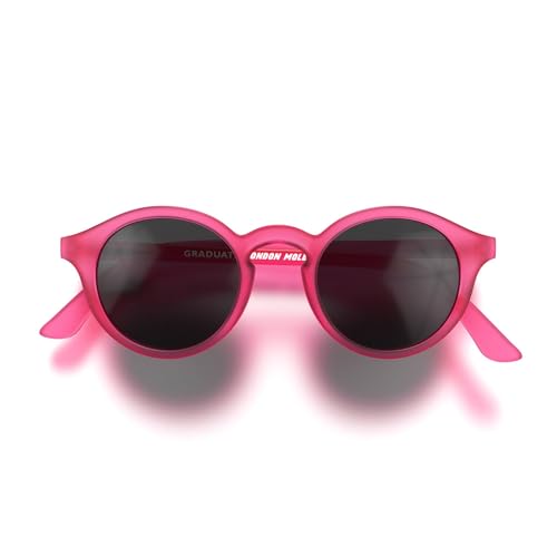 Image of LONDON MOLE Graduate sunglasses | Cool round panto shaped glasses | Men's Women's Unisex | Spring hinges
