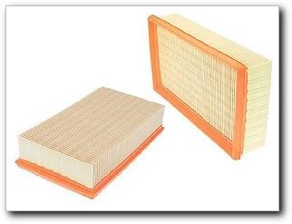 LX343 BMW Air Filter 13721730946