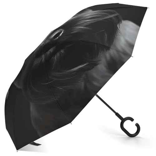 Parapluie inversé Schnauzer noir automatique compact pour voyage
