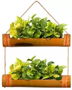 mangalmay Hanging Bamboo Planters with Adjustable Rope - Bamboo Stand - Bamboo Pot- Pack of 2 (B0BXX8N5SX) Amazon Price History, Amazon Price Tracker