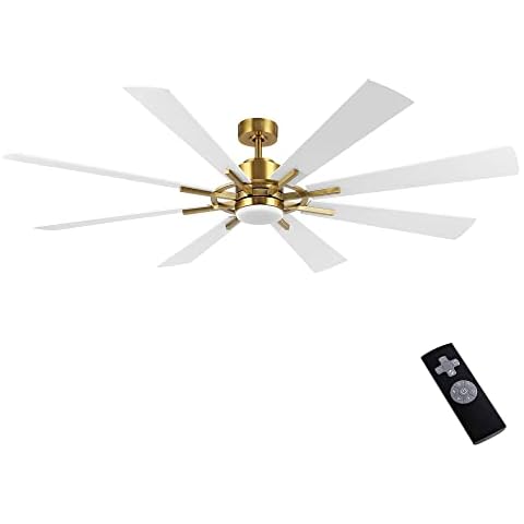 WINGBO 60" Ceiling Fan with Lights Cover