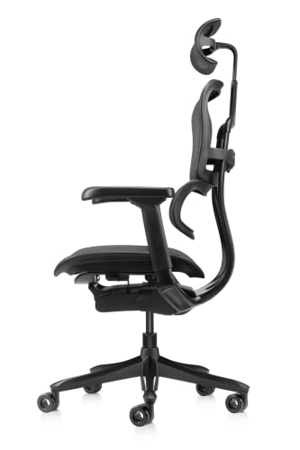 Image of Ergohuman ME7ERG GEN2 High Back Mesh Office Chair with Tilt Tension Control, Tilt Lock, Synchro Tilt, Seat Height, Seat Depth, and Arm Height Adjustments, Matte Black Frame