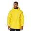 310 Light Yellow