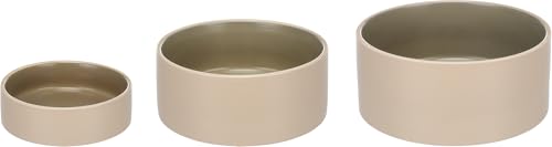 Personalisierter Keramik-Hundenapf ANCA 200 ml (S) Beige/Grün – rutschfest, leicht & hygienisch – Futter- & Wassernapf – für kleine Hunde & Katzen – personalisiert mit Namen – Petslino
