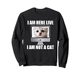 I Am Here Live I Am Not A Cat Funny Lawyer Meme Sudadera
